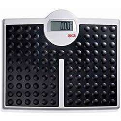 Seca 813 Robusta High Capacity Digital Floor Scale