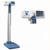 Tanita WB-100 medical scales