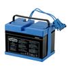 Peg Perego IAKB0501 12 Volt Battery