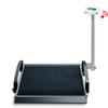 Seca 664 Wheelchair Scales