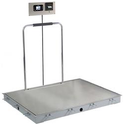 Detecto SOLACE Series ID-7248SH-855RMP 6 x 4 ft In-Floor Dialysis Scale with Handrail 1000 x 0.2 lb