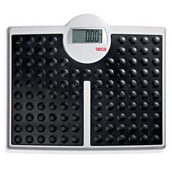 Seca 813 Robusta High Capacity Digital Floor Scale, 440 x 0.2 lb