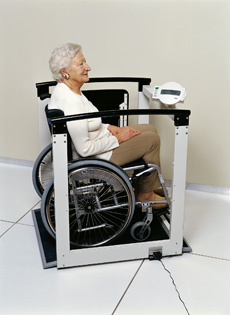 Seca 684 digital hand rail scale / wheelchair scale / chair scale